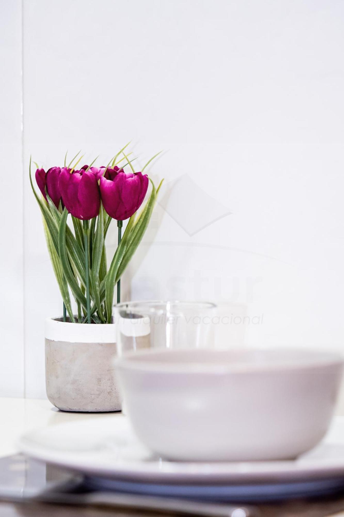 Apartment Pinpilinpauxa By Silastur Gijon